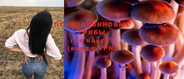 героин Ладушкин